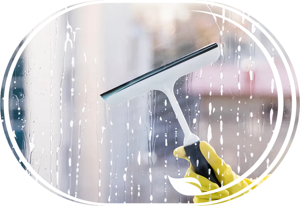 Fensterreinigung