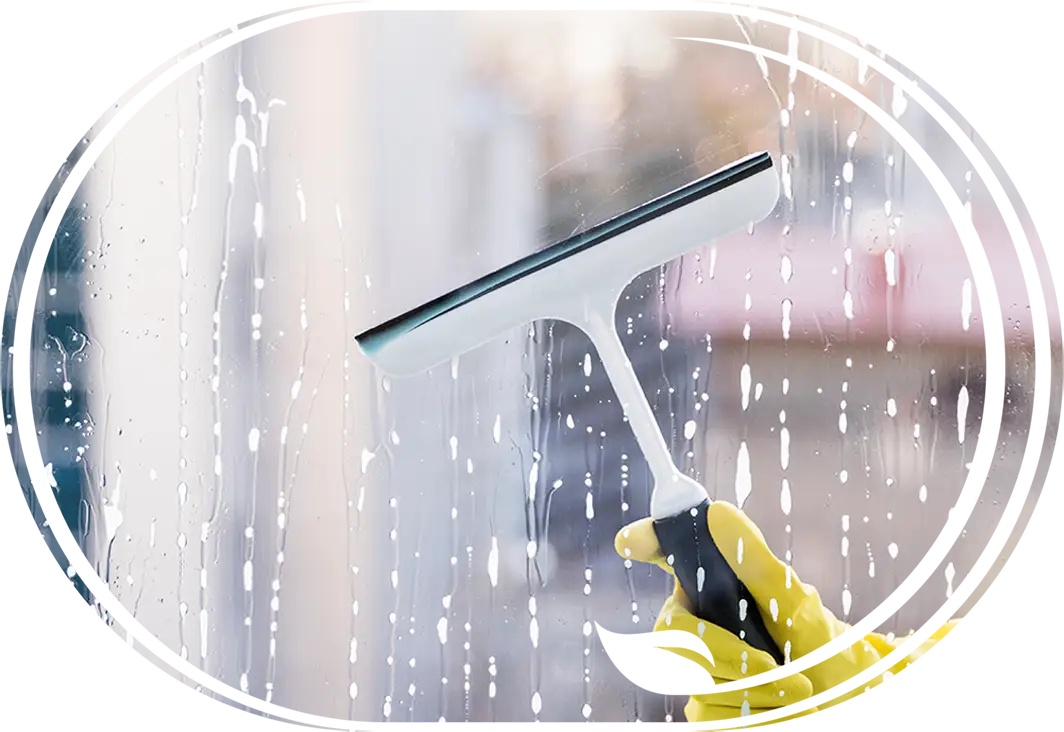Fensterreinigung